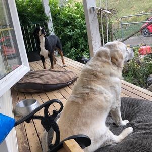 Meet your Posher, Courtney